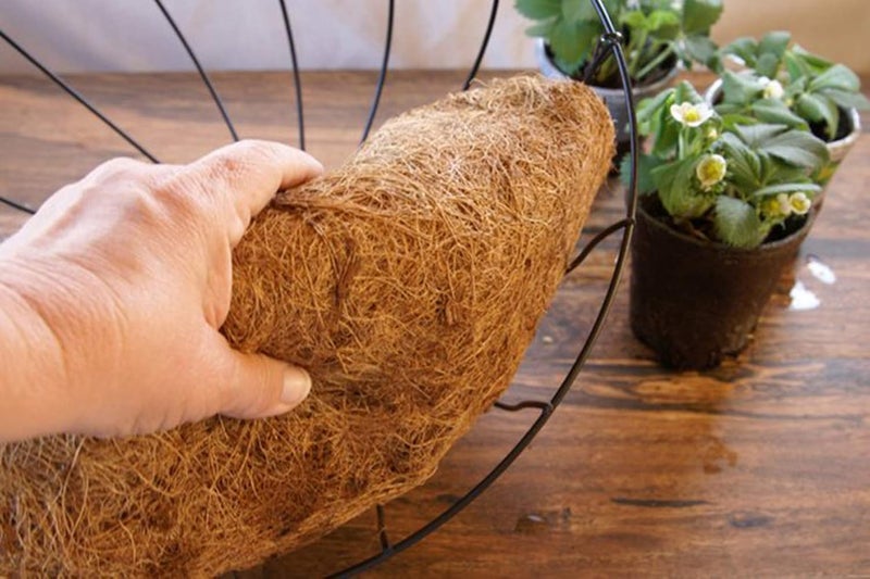 FDGARDEN 2PCS Half Round Hanging Basket Liners Replacement Coco Liner for Hanging Basket Wall Flower, 100% Natural Coconut Fiber Plant Basket Liner for Garden Planter Flower Pot (18 inch) - Image 3